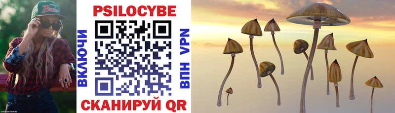 Псилоцибиновые грибы Cubensis Миасс